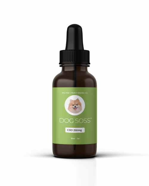 Bottle of CBD for Small Dogs 250mg Dosing
