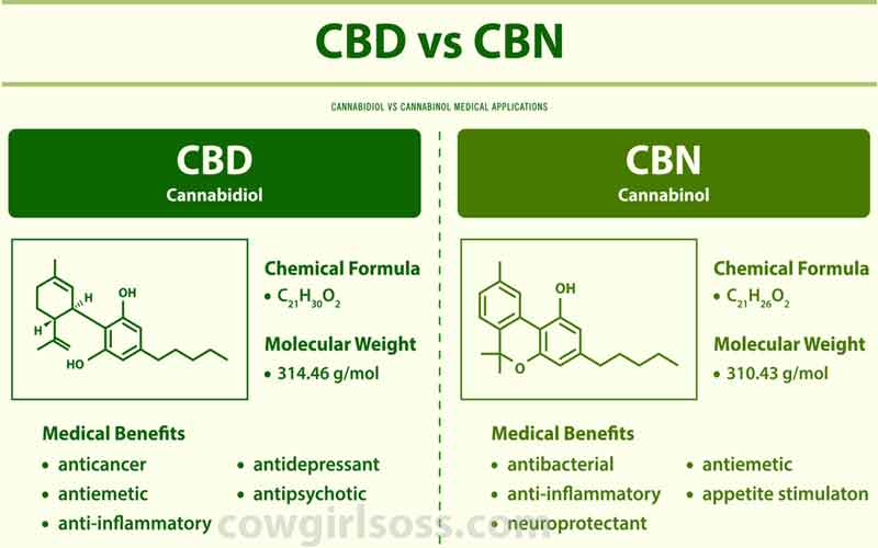 What is The Difference Between CBD and CBN
