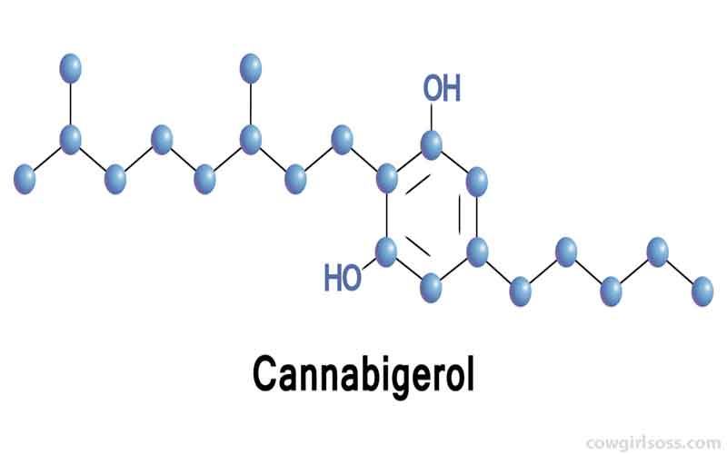 What is CBG cannabinoid?