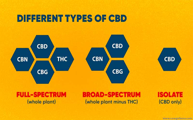 Different Types of CBD Forms