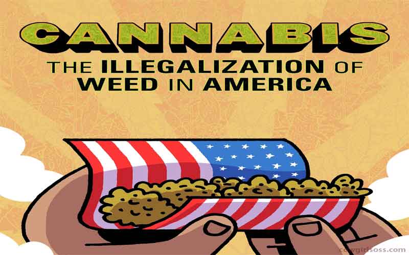 Recent History of Cannabis in America