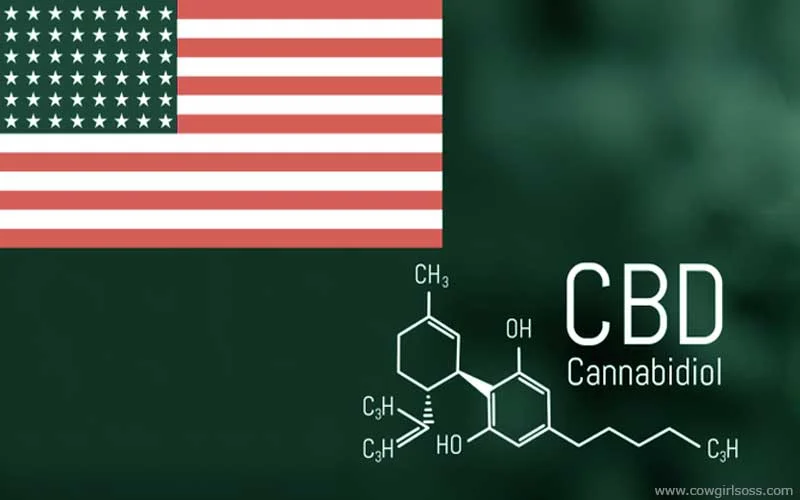 Is CBD Legal in the US?