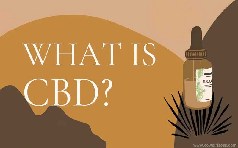 What is CBD?