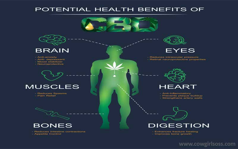 Potential Health Benefits