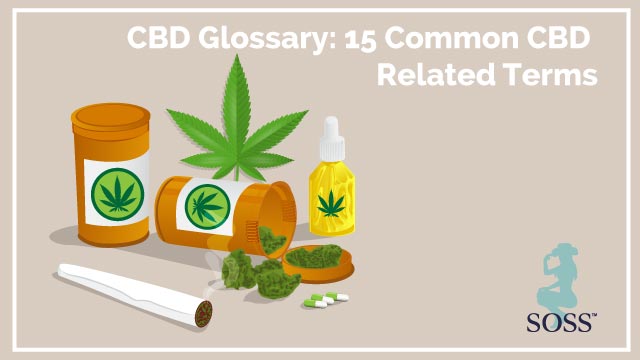 CBD Glossary: 15 Common CBD Related Terms