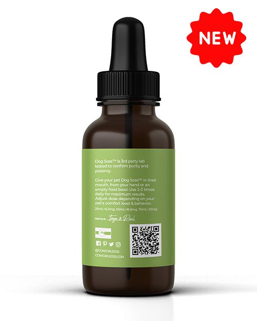 1000 Mg CBD Oil For Large Dogs