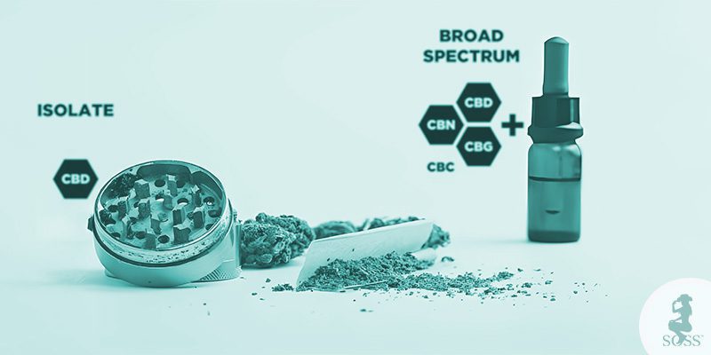 Broad Spectrum vs CBD Isolate The Difference and Benefits