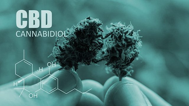Types of CBD and Cannabinoids